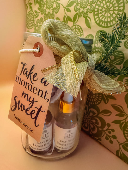 The Floral Reset: Holiday Edition