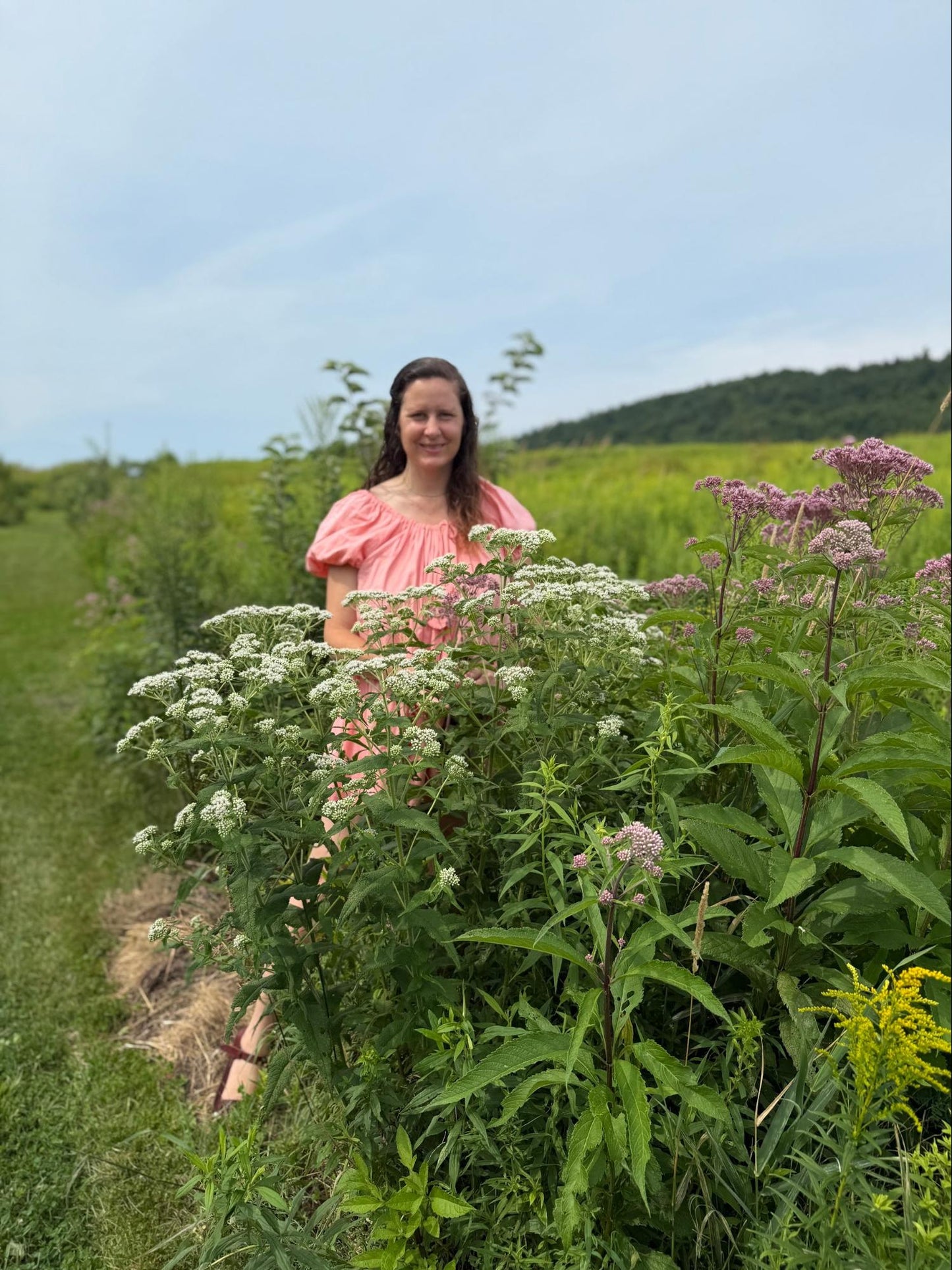 Queen Anne’s Lace Flower Essence