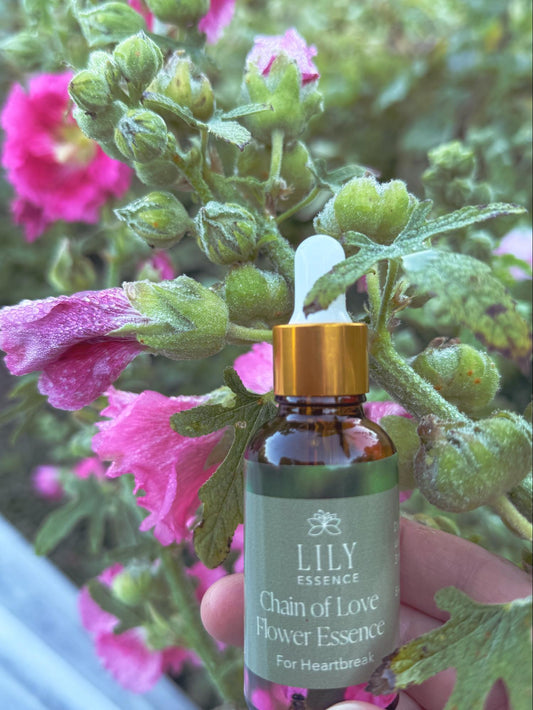 Chain of Love Flower Essence