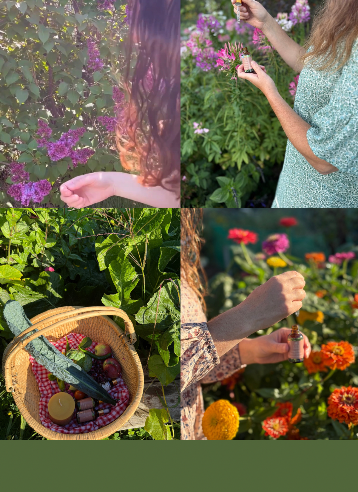 DIY Flower Essence Making Kit