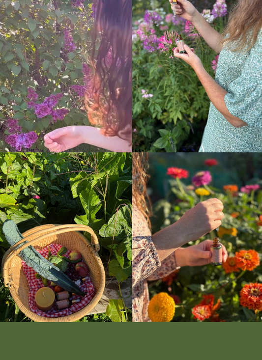 DIY Flower Essence Making Kit