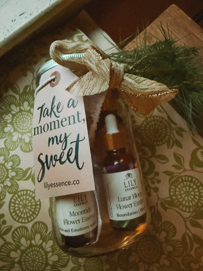 The Floral Reset:  Holiday Edition