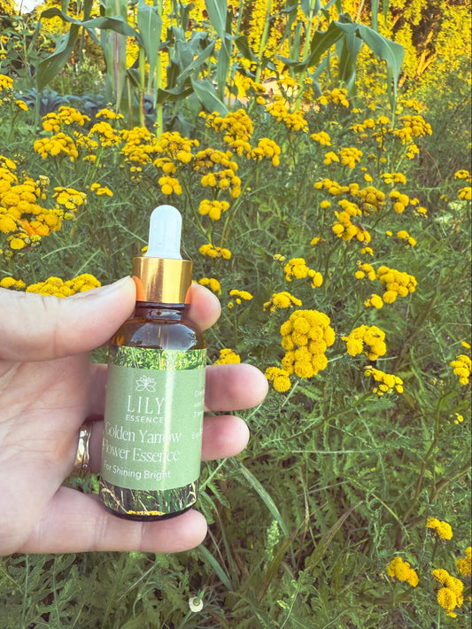 Golden Yarrow Flower Essence