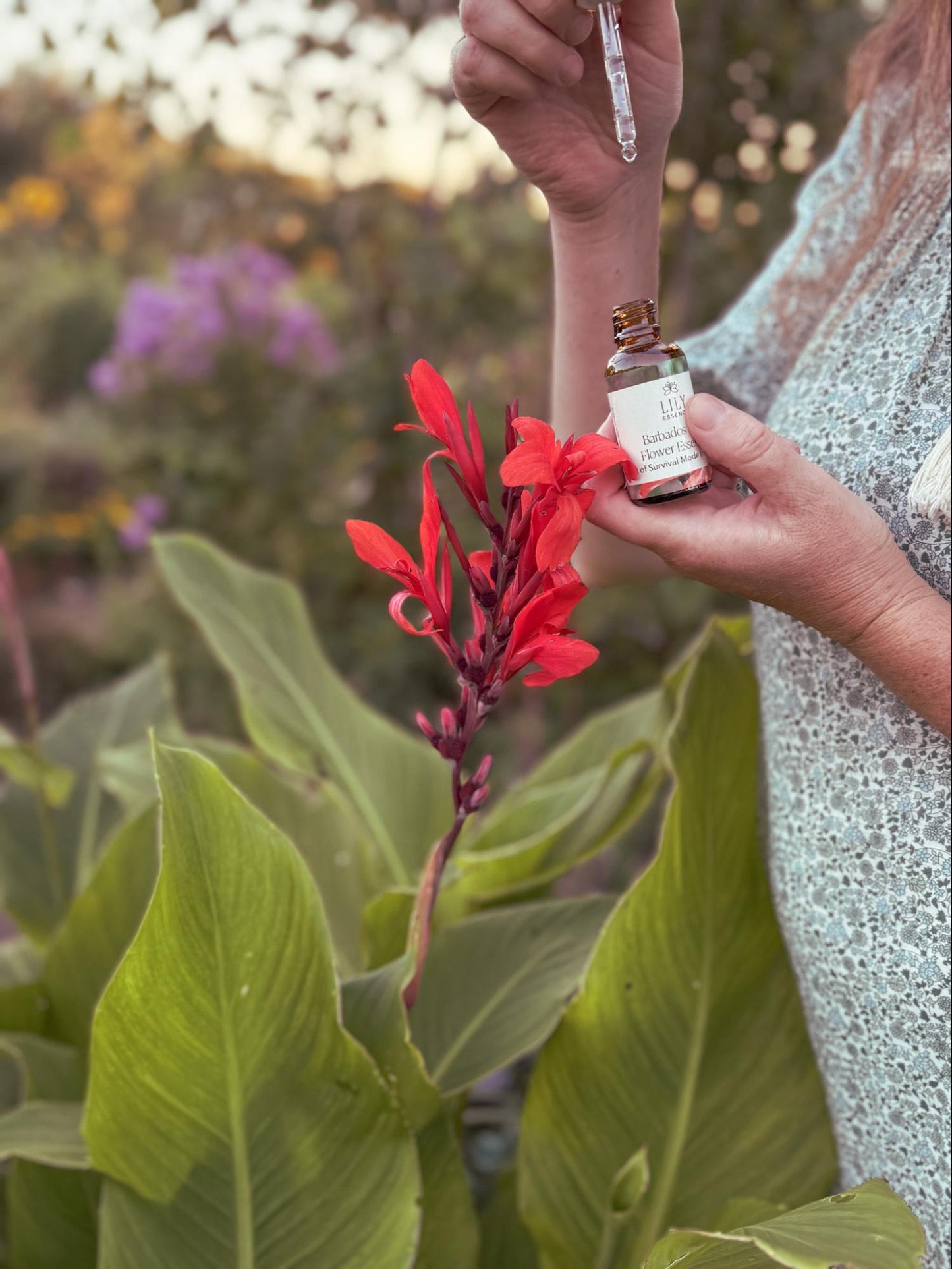 Barbados Lily Flower Essence
