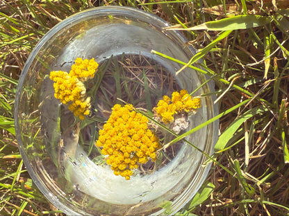 Golden Yarrow Flower Essence