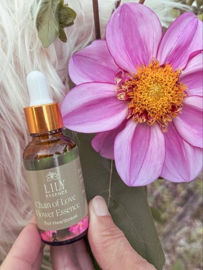Chain of Love Flower Essence
