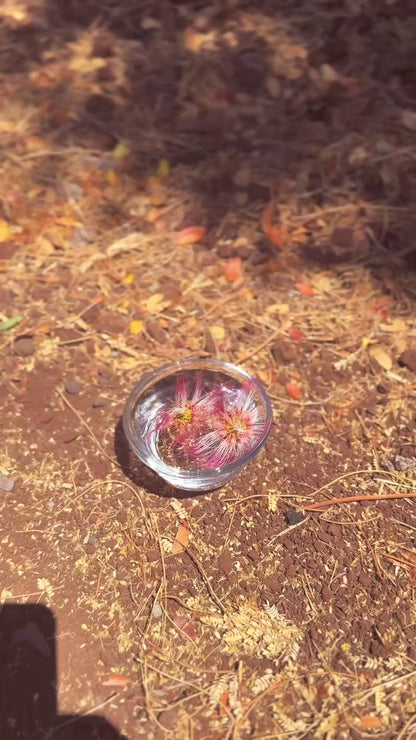 Lunar Bloom Flower Essence.